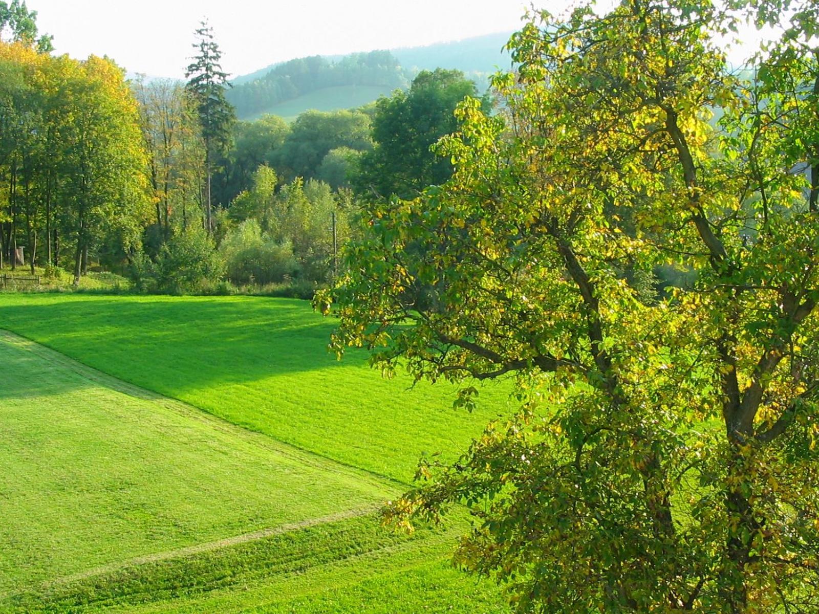 Penzion Svet Sobotin Exterior photo